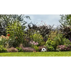Bosch Pumper > GARDENPUMP 18V-2000 HAVEPUMPE