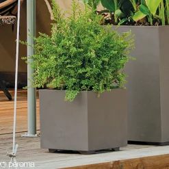 Deroma Havekrukker > MILLENIUM 208-622 PLANTEKASSE PLASTIK SANDSTEN 39X39X39 CM