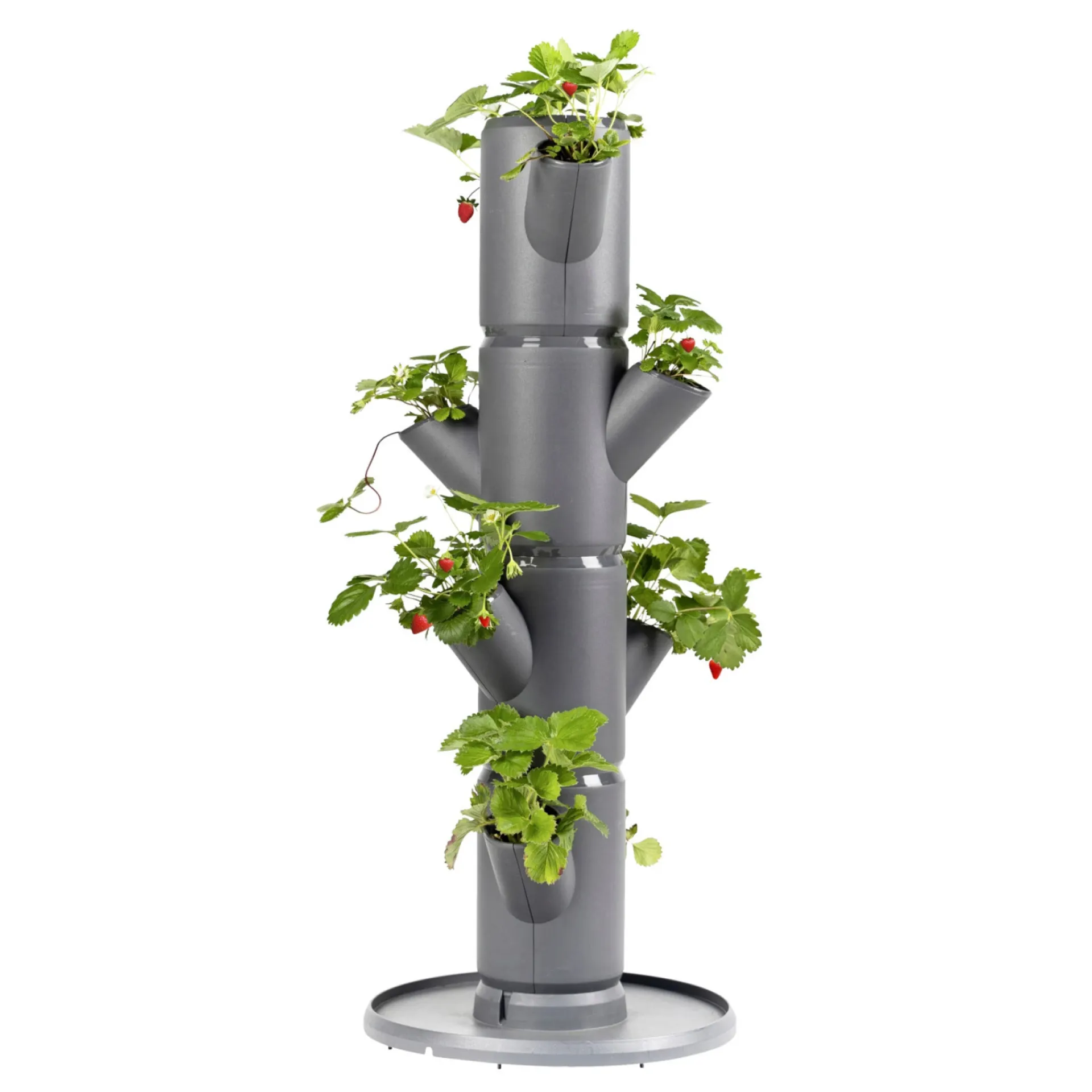 Garden Life Frø & Spiring > JORDBÆR PLANTEKASSE Ø32XH77 CM