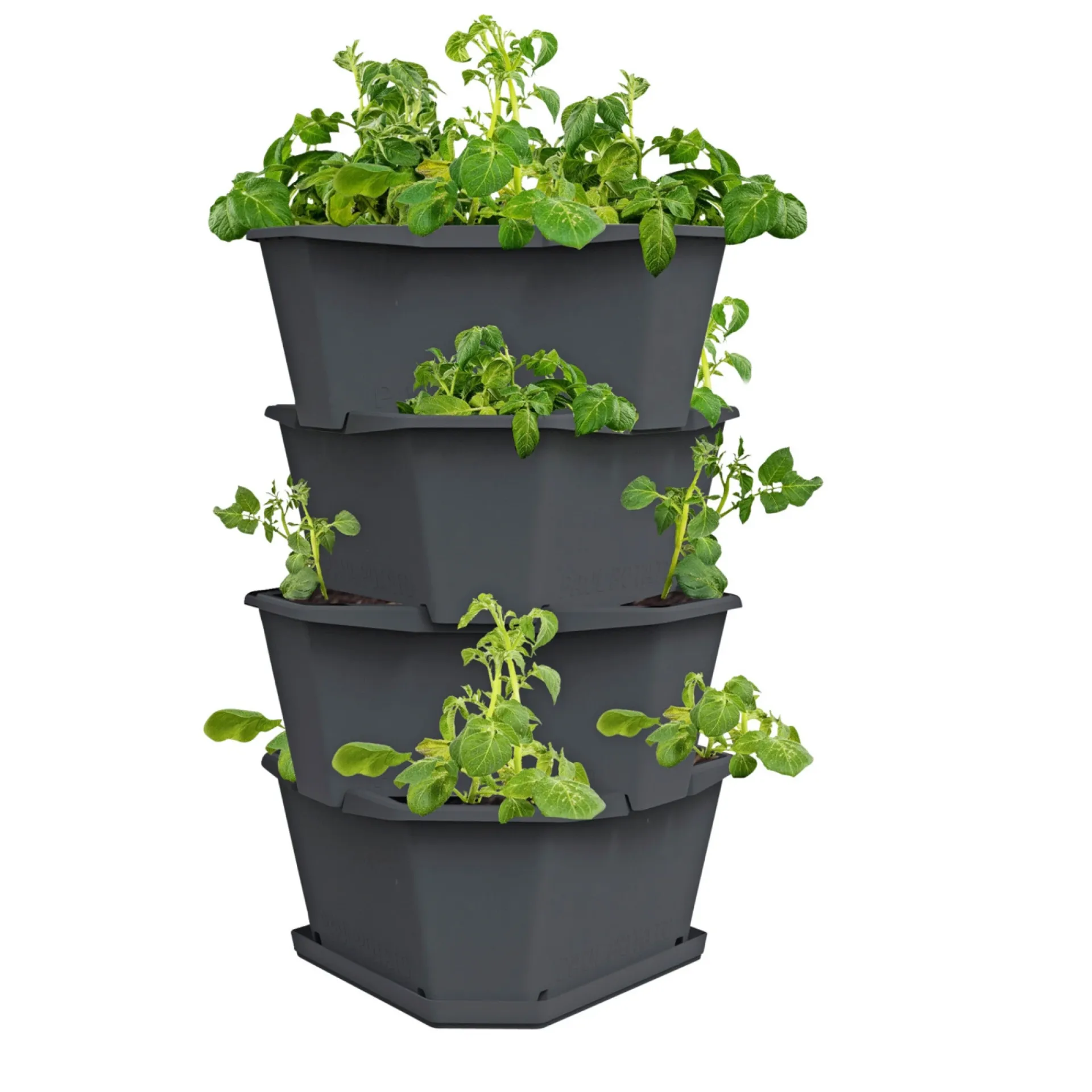 Garden Life Frø & Spiring > KARTOFFEL PLANTEKASSE Ø38XH65 CM