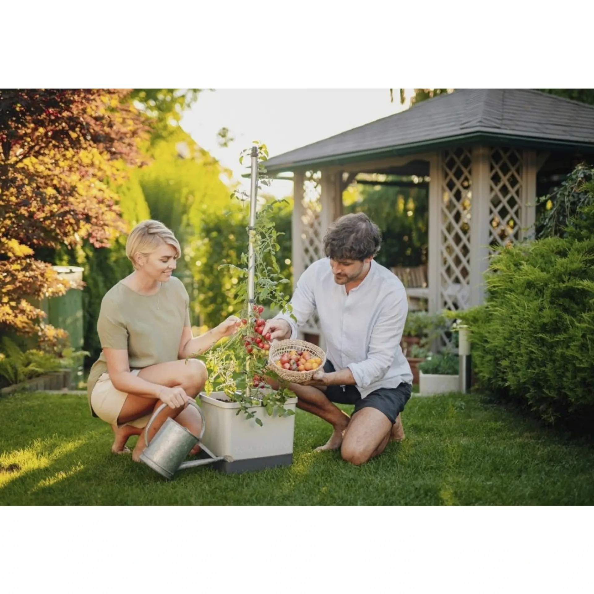 Garden Life Frø & Spiring > TOMAT PLANTEKASSE L34,7XB27,7XH135,4 CM