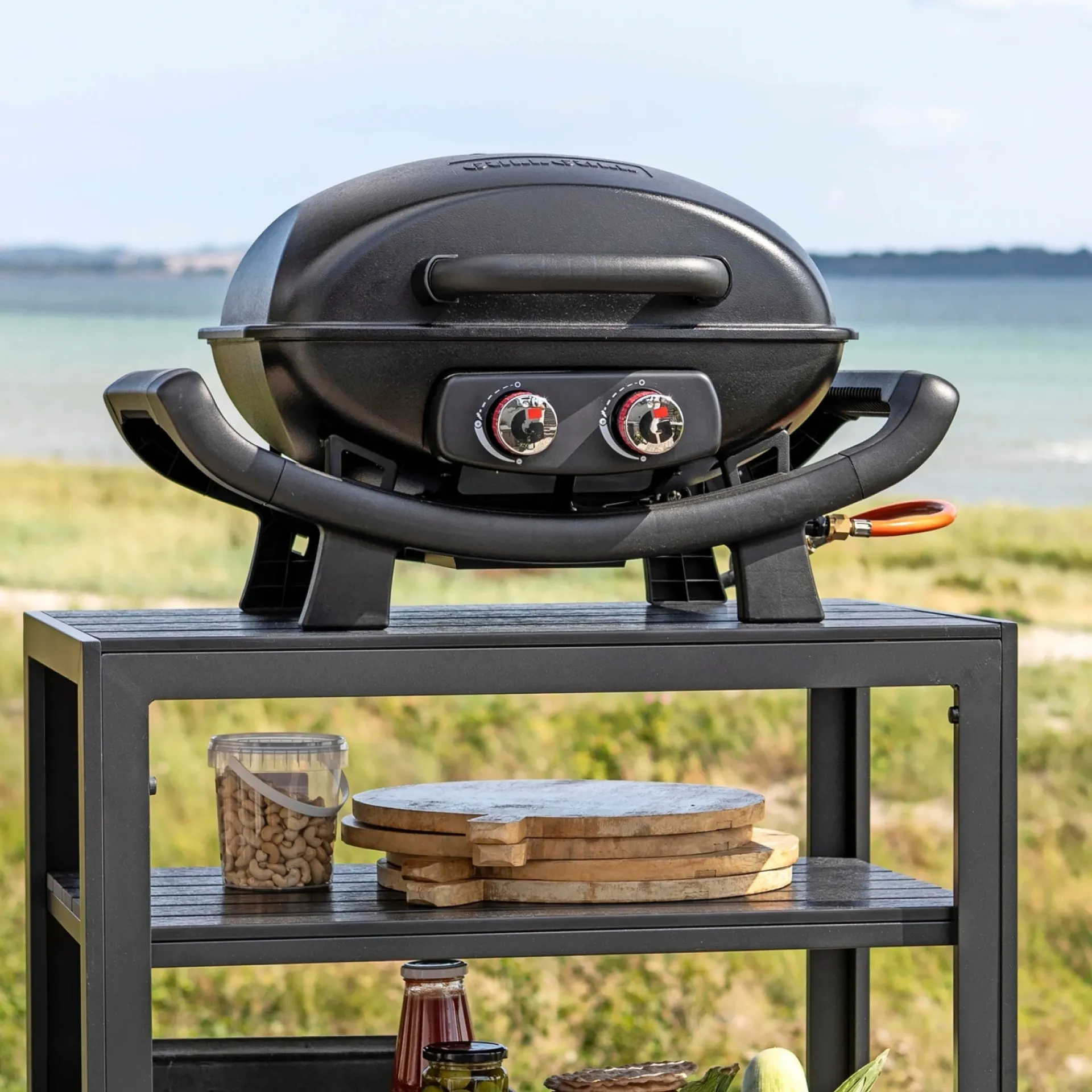 GrillGrill Gasgrill > HANDY GASGRILL SORT