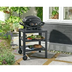 GrillGrill Gasgrill > HANDY GASGRILL SORT