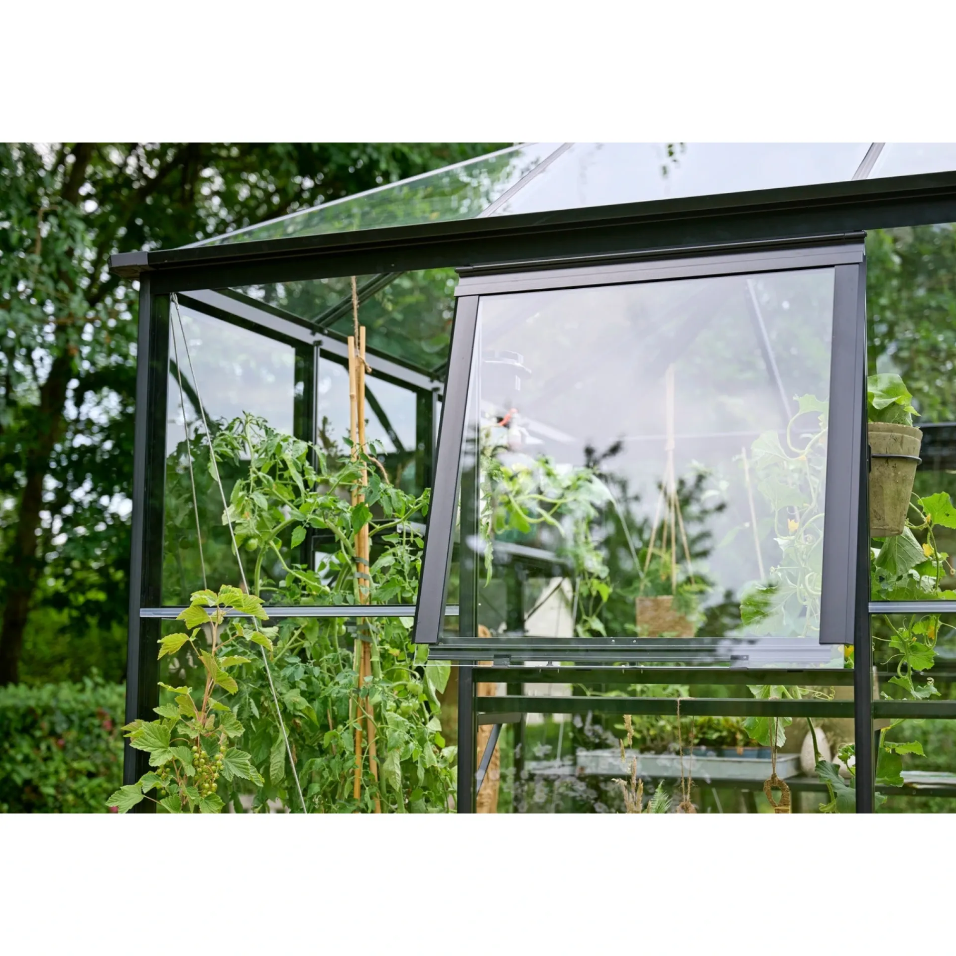 Halls Drivhuse > QUBE SQUARE DRIVHUS 3 MM HÆRDET GLAS HELE BANER SORT 6,3 M2