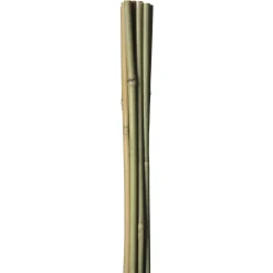 HOME it GARDEN Frø & Spiring > BAMBUSPINDE 120 CM
