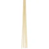 HOME it GARDEN Frø & Spiring > BLOMSTERPINDE 70 CM