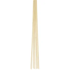 HOME it GARDEN Frø & Spiring > BLOMSTERPINDE 30 CM