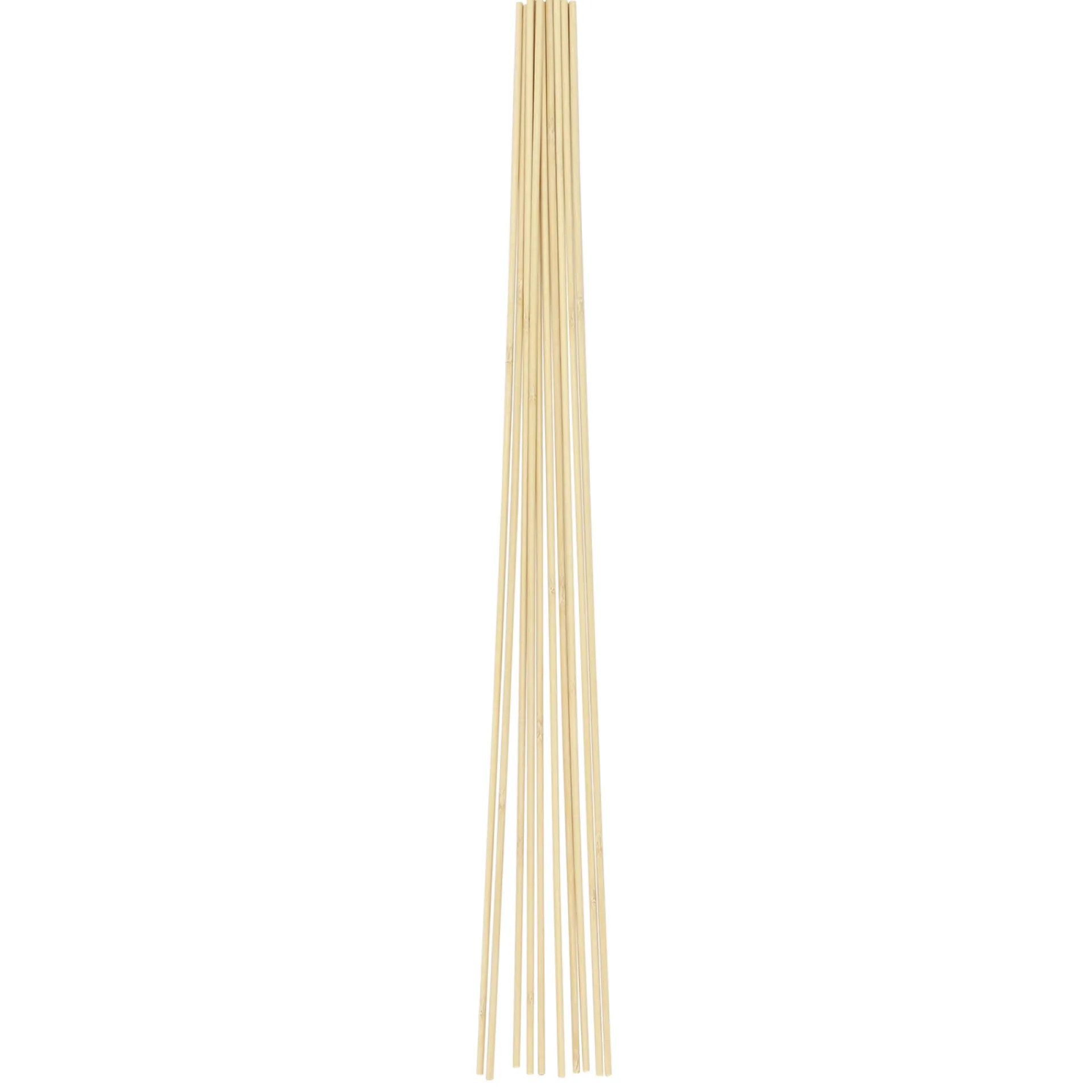 HOME it GARDEN Frø & Spiring > BLOMSTERPINDE 30 CM