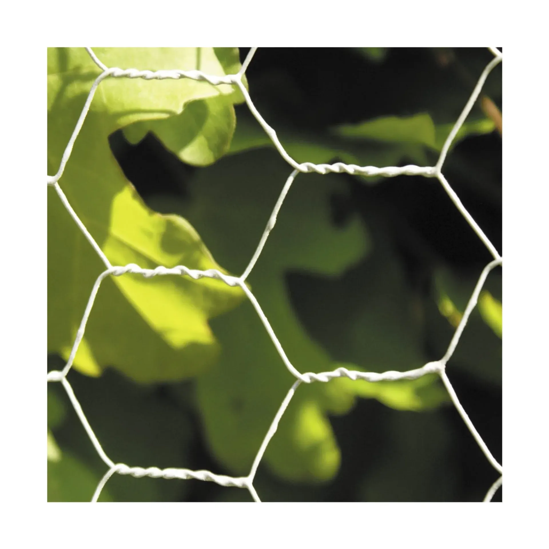 Hortus Trådhegn & Volierenet > HØNSETRÅD GALVANISERET 0.90 X 30 M 50 MM