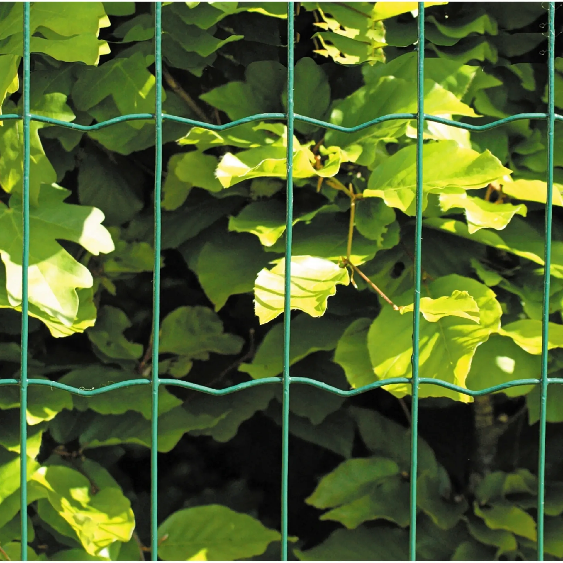 Hortus Trådhegn & Volierenet > PVC FRI TRÅDHEGN GRØN PLASTBELAGT 1.20 X 20 M