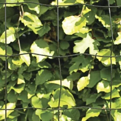 Hortus Trådhegn & Volierenet > PVC FRI TRÅDHEGN SORT PLASTBELAGT 0.60 X 20 M