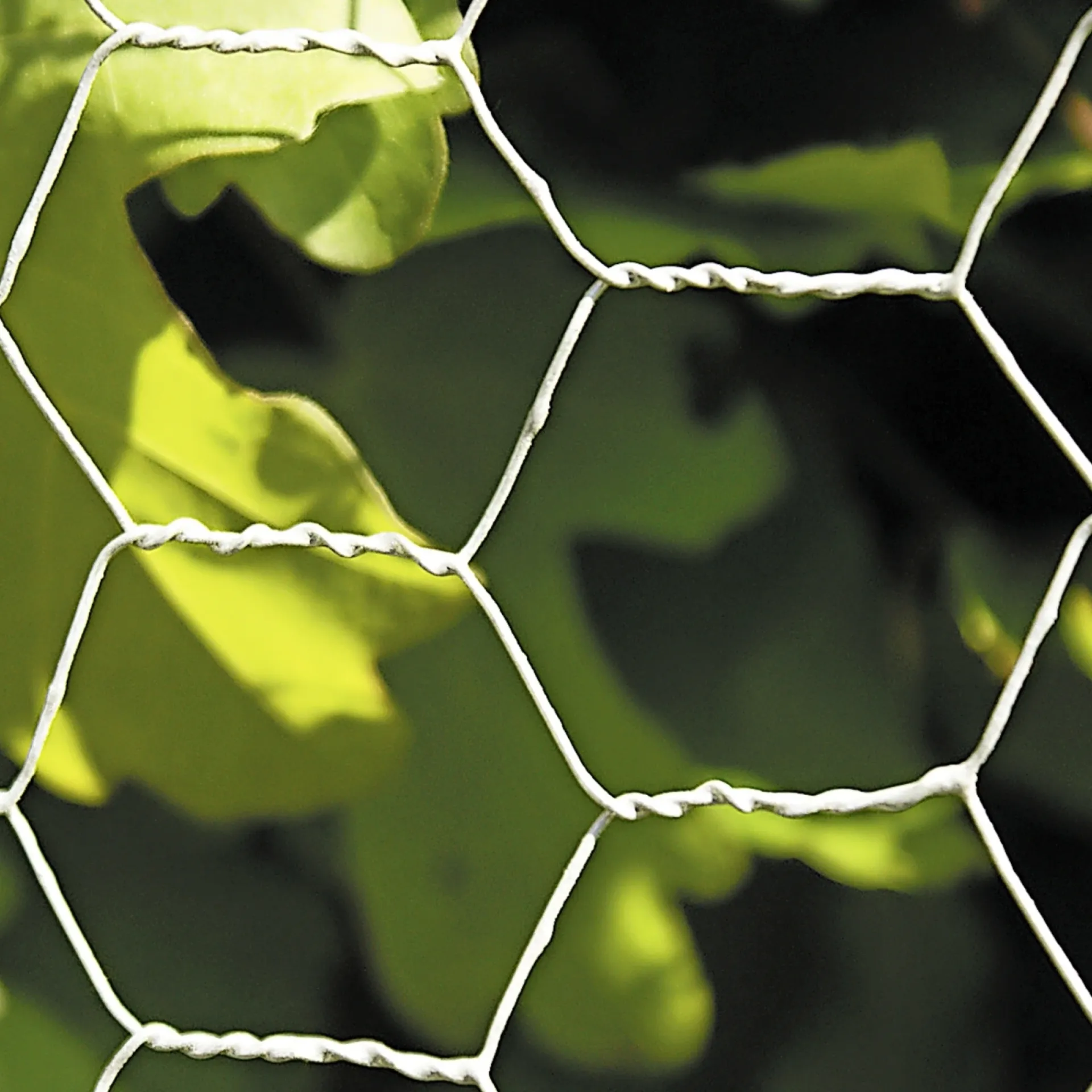Hortus Trådhegn & Volierenet > TRÅDFLETNING GALVANISERET 0.30 X 10 M 25 MM