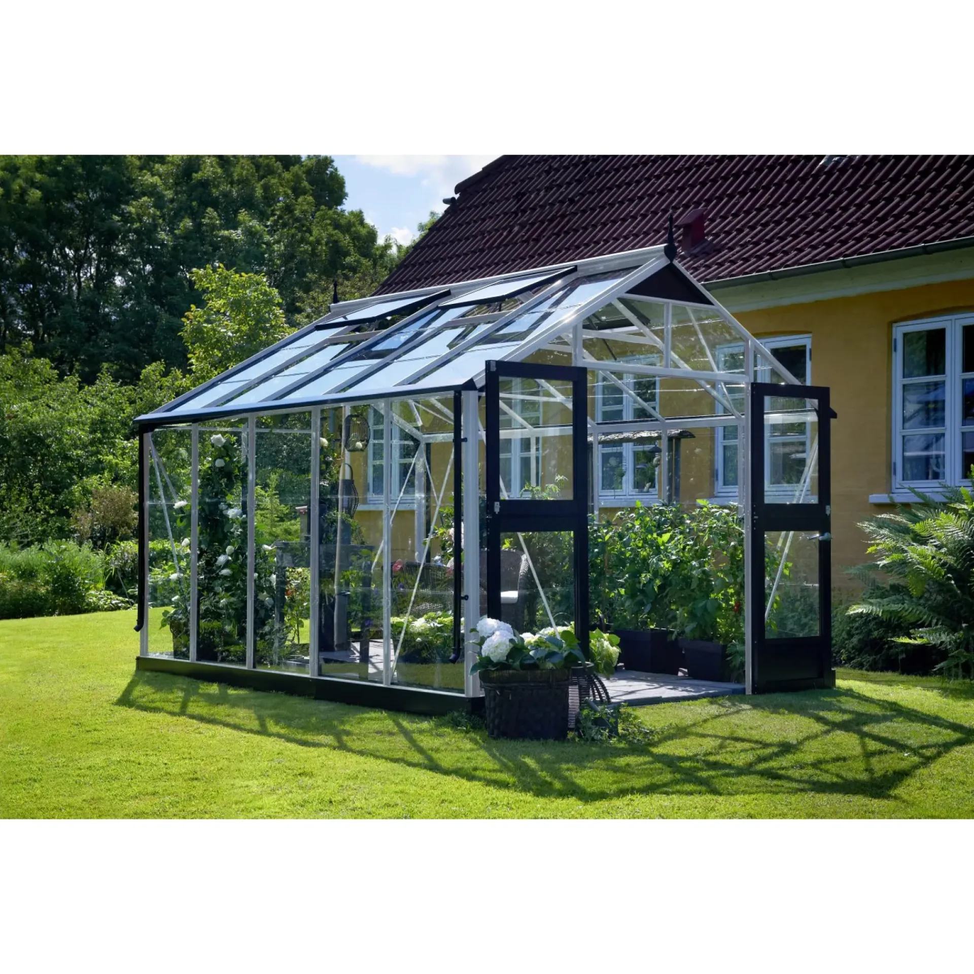 Juliana Drivhuse > PREMIUM DRIVHUS 3 MM HÆRDET GLAS HELE BANER ALUMINIUM 10,9 M2