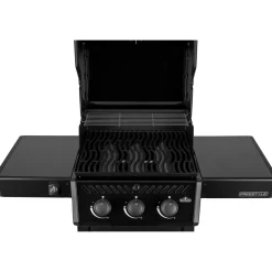 Napoleon Gasgrill > FREESTYLE 365 GASGRILL SORT
