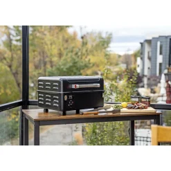 Traeger Pillegrill > RANGER TRÆPILLEGRILL SORT