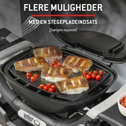 Weber Gasgrill > Q 1200N GASGRILL SORT