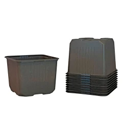 Weibulls Frø & Spiring > UDPLANTNINGSPOTTE 11 CM